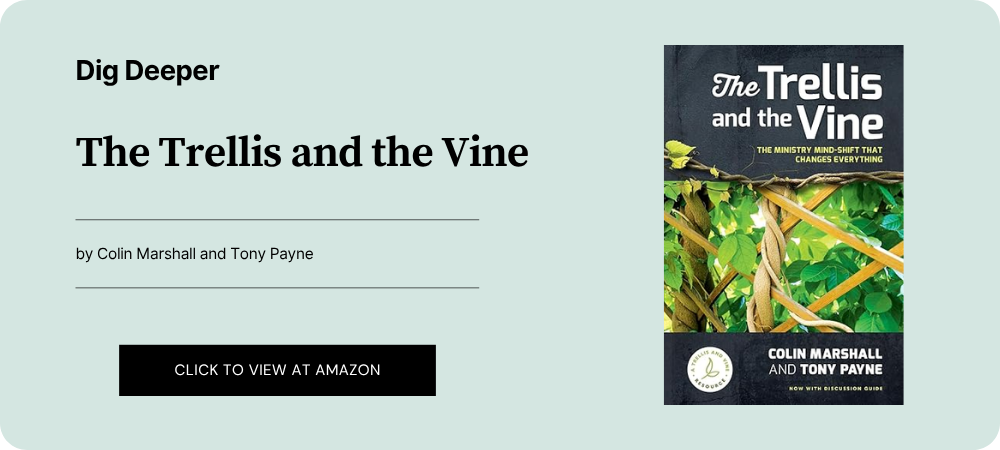 The Trellis and the Vine